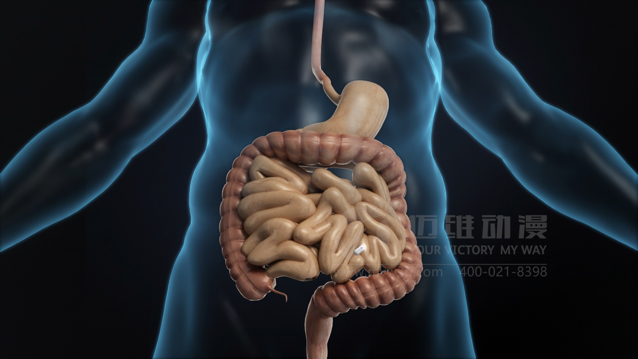 醫(yī)療三維動(dòng)畫.png 醫(yī)療三維動(dòng)畫.png