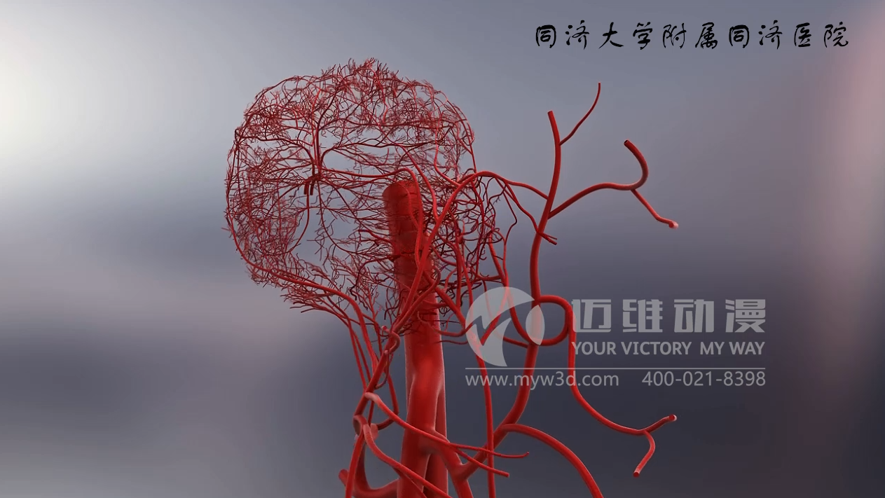 三維動(dòng)畫制作.png 三維動(dòng)畫制作.png