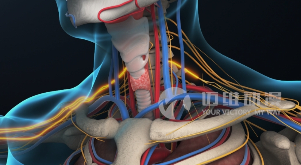 火爆出圈的“三維動畫”，能為醫(yī)學行業(yè)發(fā)展帶來哪些機遇？(圖3)