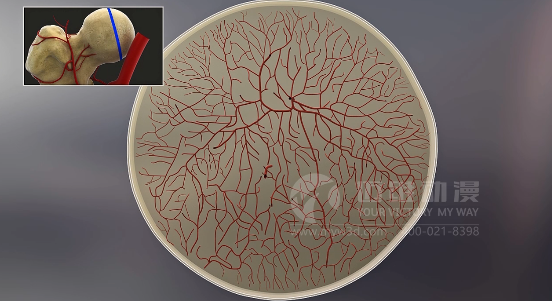 常見(jiàn)的三維動(dòng)畫(huà)類(lèi)型有哪些?(圖3) 常見(jiàn)的三維動(dòng)畫(huà)類(lèi)型有哪些?(圖3)